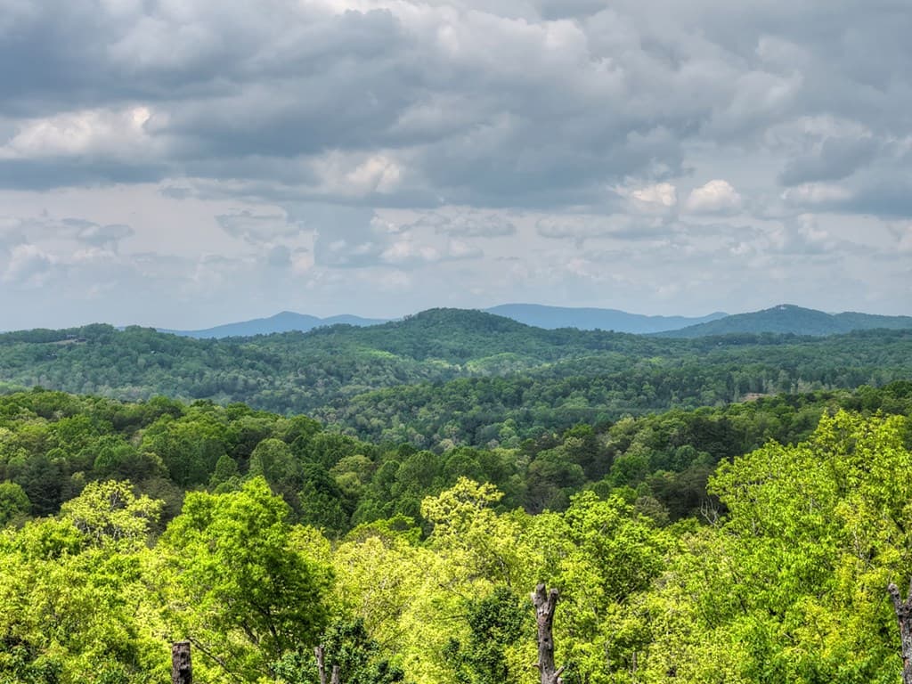 291 Tower Road, Mineral Bluff GA 30559 - Photo