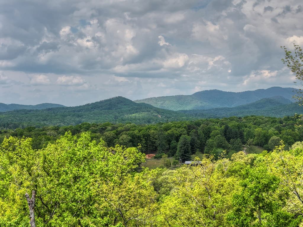 291 Tower Road, Mineral Bluff GA 30559 - Photo