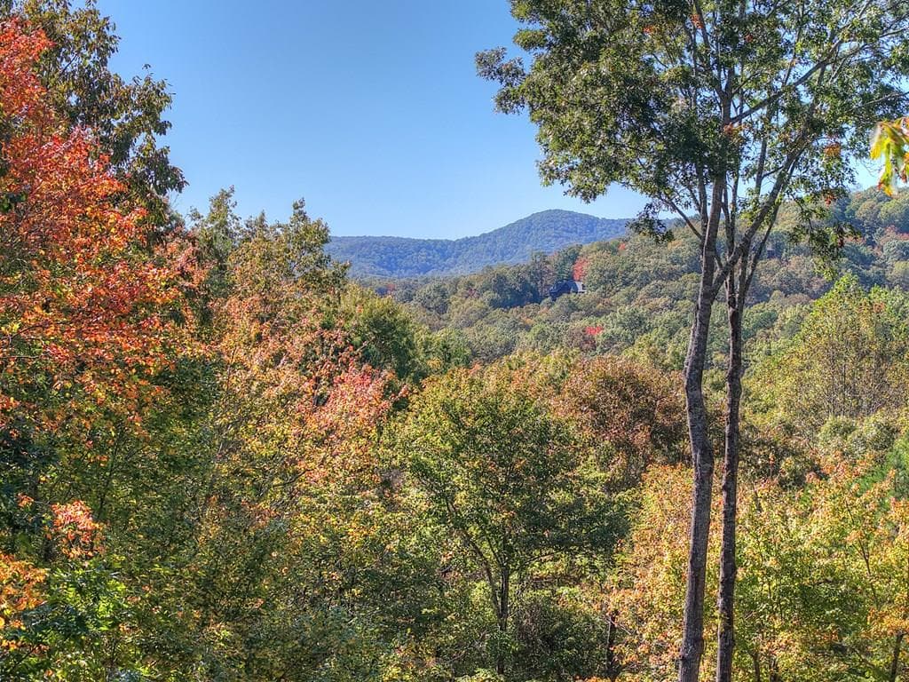 240 Lower Prince Mountain Road, Cherry Log GA 30522 - Primary photo