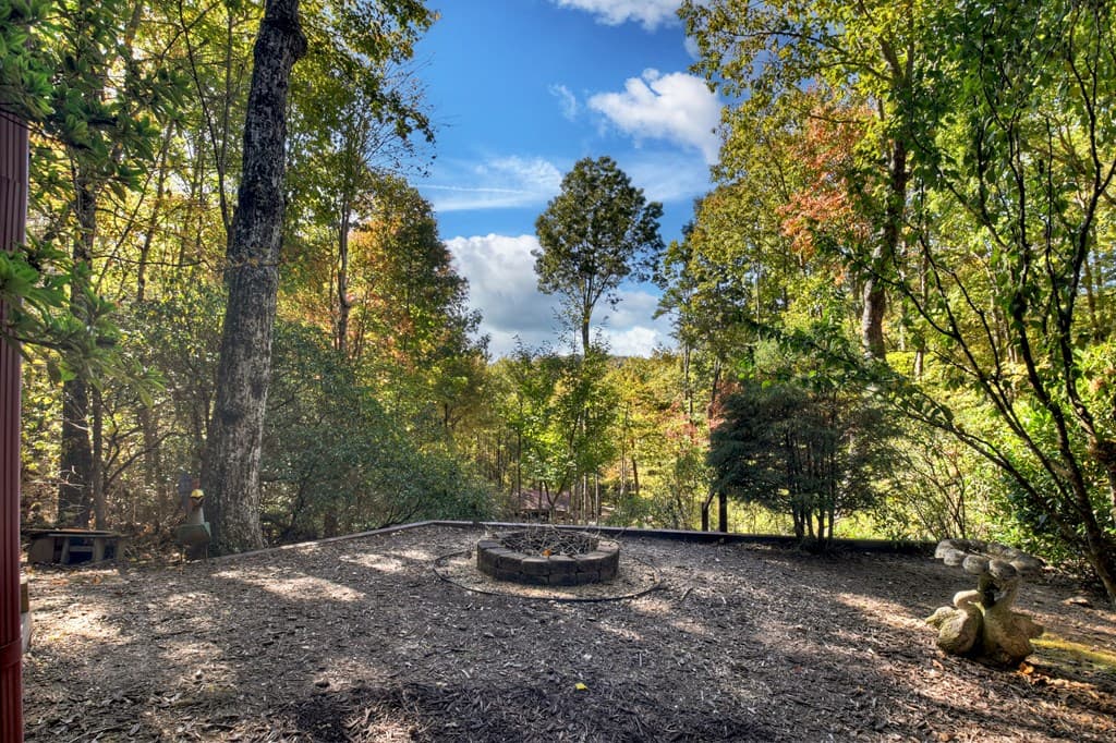 240 Lower Prince Mountain Road, Cherry Log GA 30522 - Photo