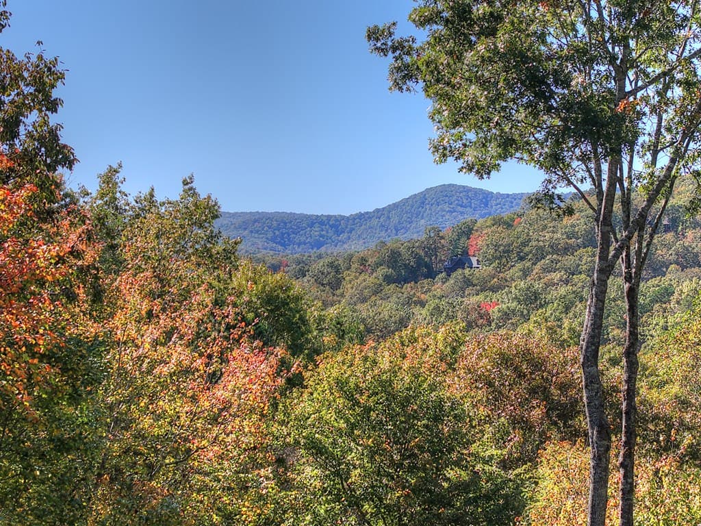 240 Lower Prince Mountain Road, Cherry Log GA 30522 - Photo