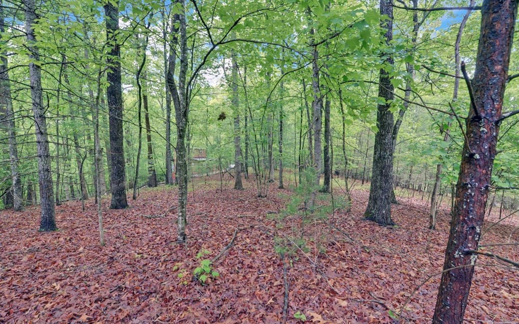 100 Carvers View Trail, Murphy NC 28906 - Photo