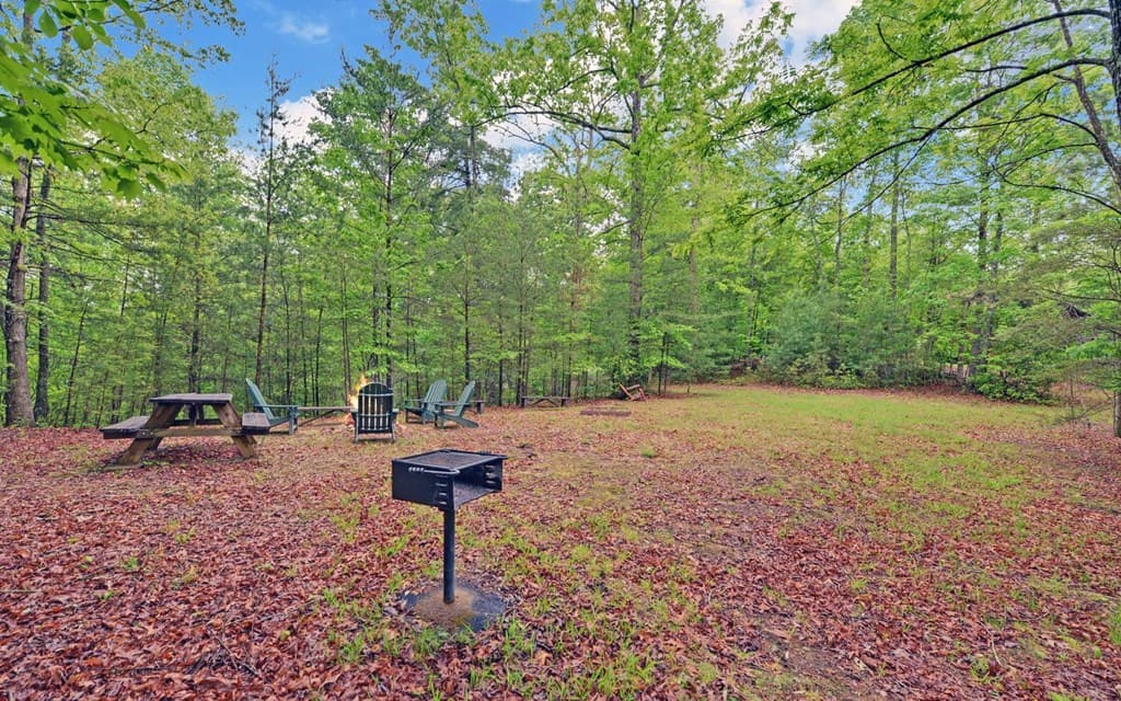 100 Carvers View Trail, Murphy NC 28906 - Photo