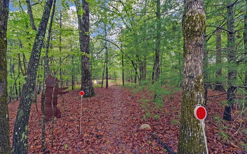 100 Carvers View Trail, Murphy NC 28906 - Photo