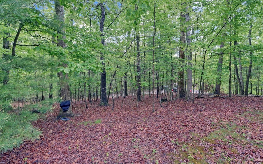 100 Carvers View Trail, Murphy NC 28906 - Photo