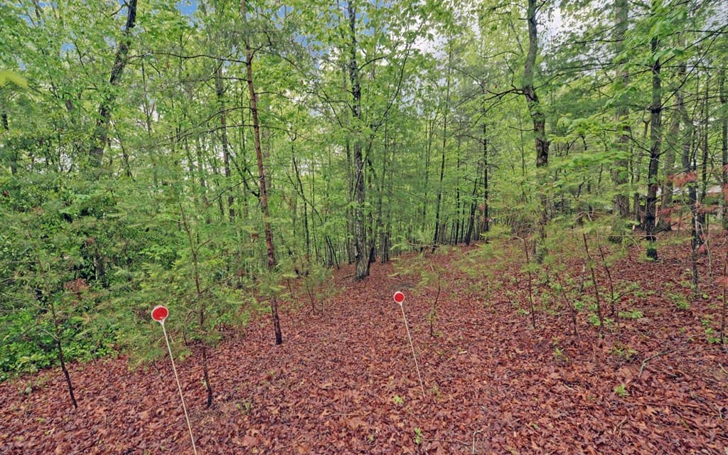 100 Carvers View Trail, Murphy NC 28906 - Photo