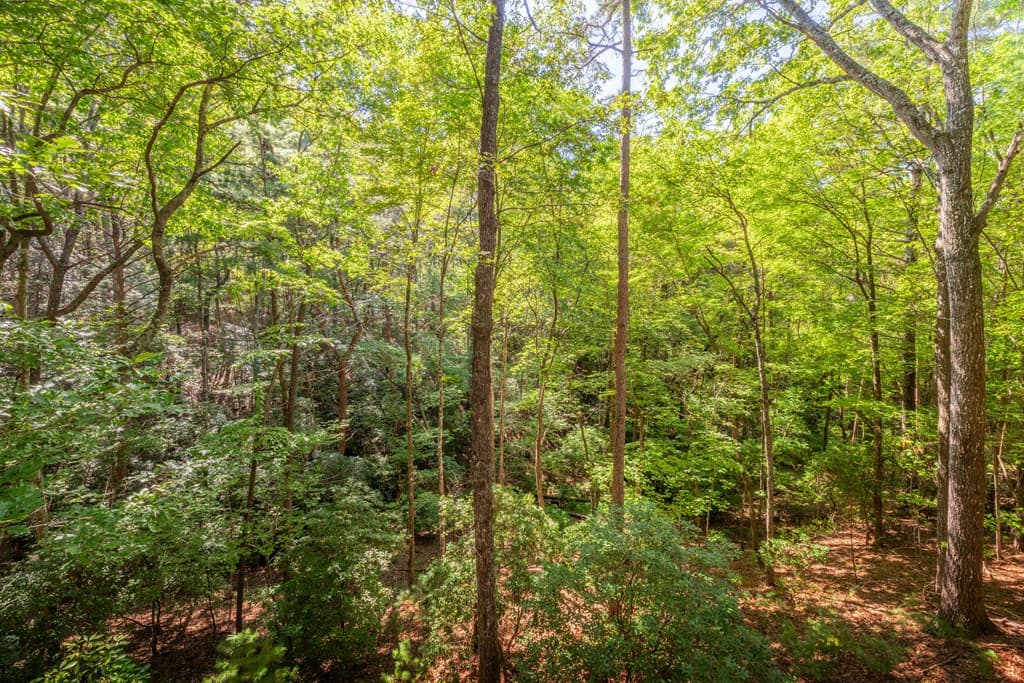 129 N Cherokee Drive, Blue Ridge GA 30513 - Photo