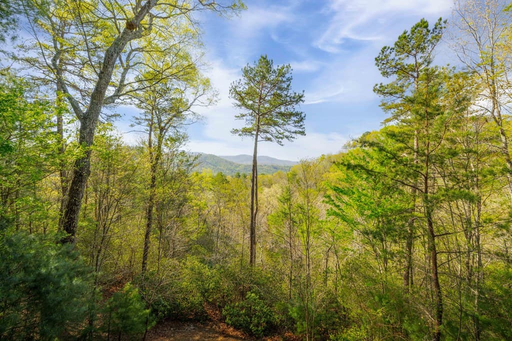 258 Dupont Drive, Blue Ridge GA 30522 - Photo