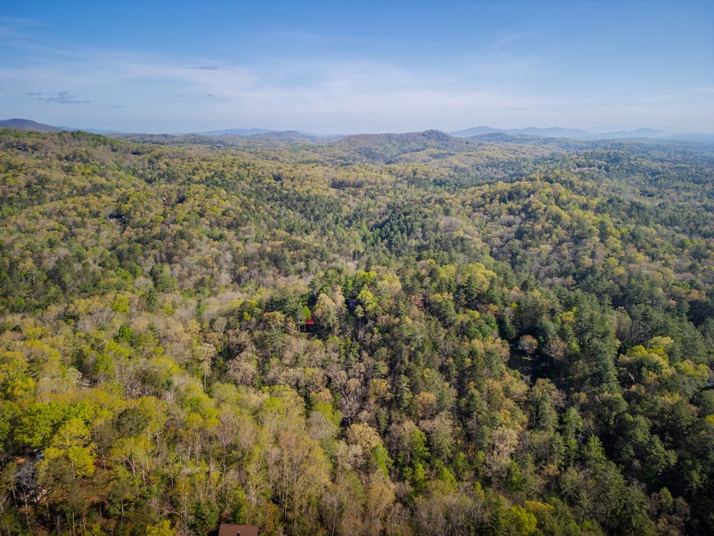 258 Dupont Drive, Blue Ridge GA 30522 - Photo
