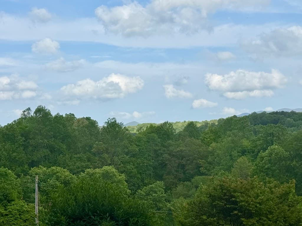 876 Gibson Hill, Hiawassee GA 30546 - Photo