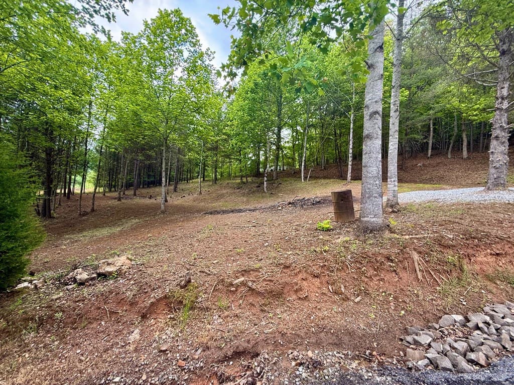 876 Gibson Hill, Hiawassee GA 30546 - Photo