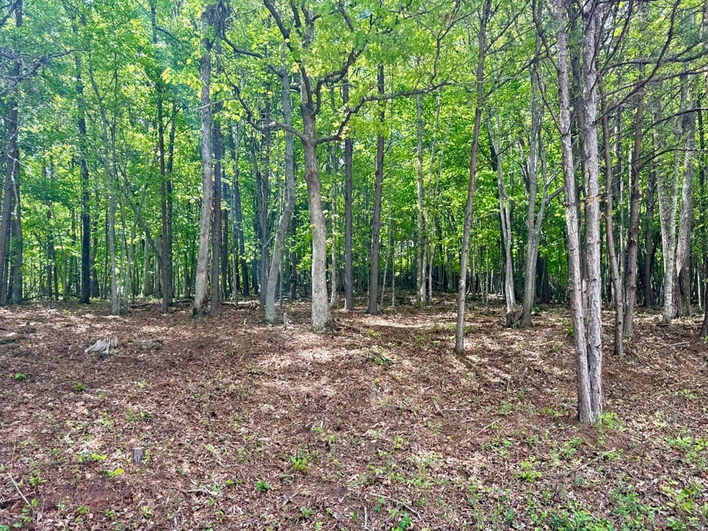 876 Gibson Hill, Hiawassee GA 30546 - Photo