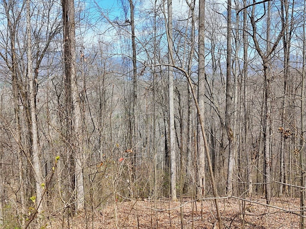 #2 High Meadows Drive, Hayesville NC 28904 - Photo