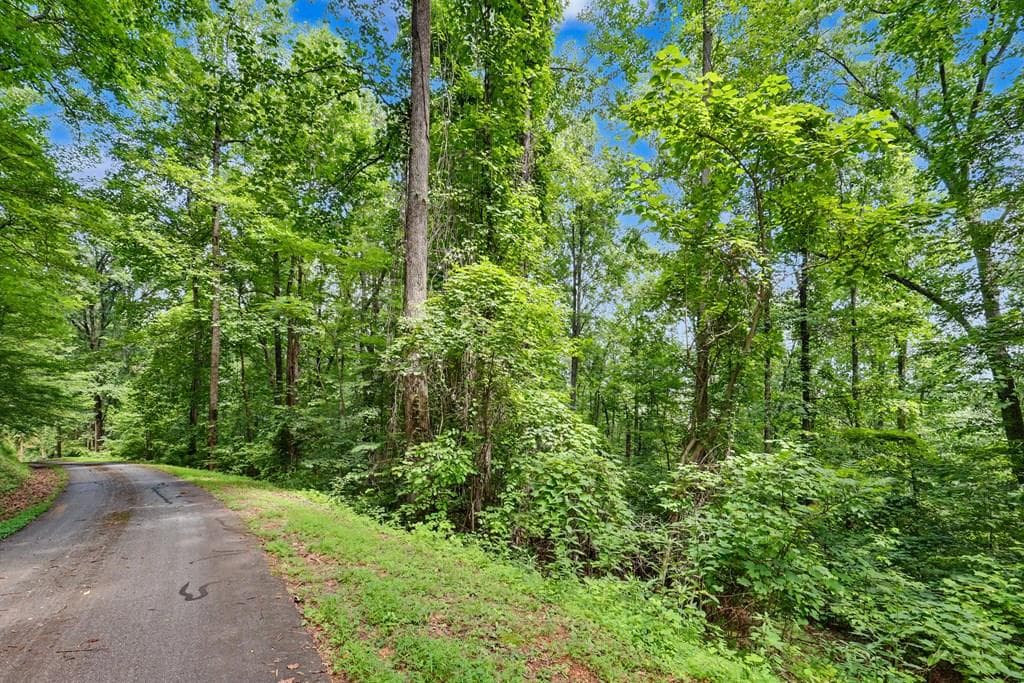 #2 High Meadows Drive, Hayesville NC 28904 - Primary photo