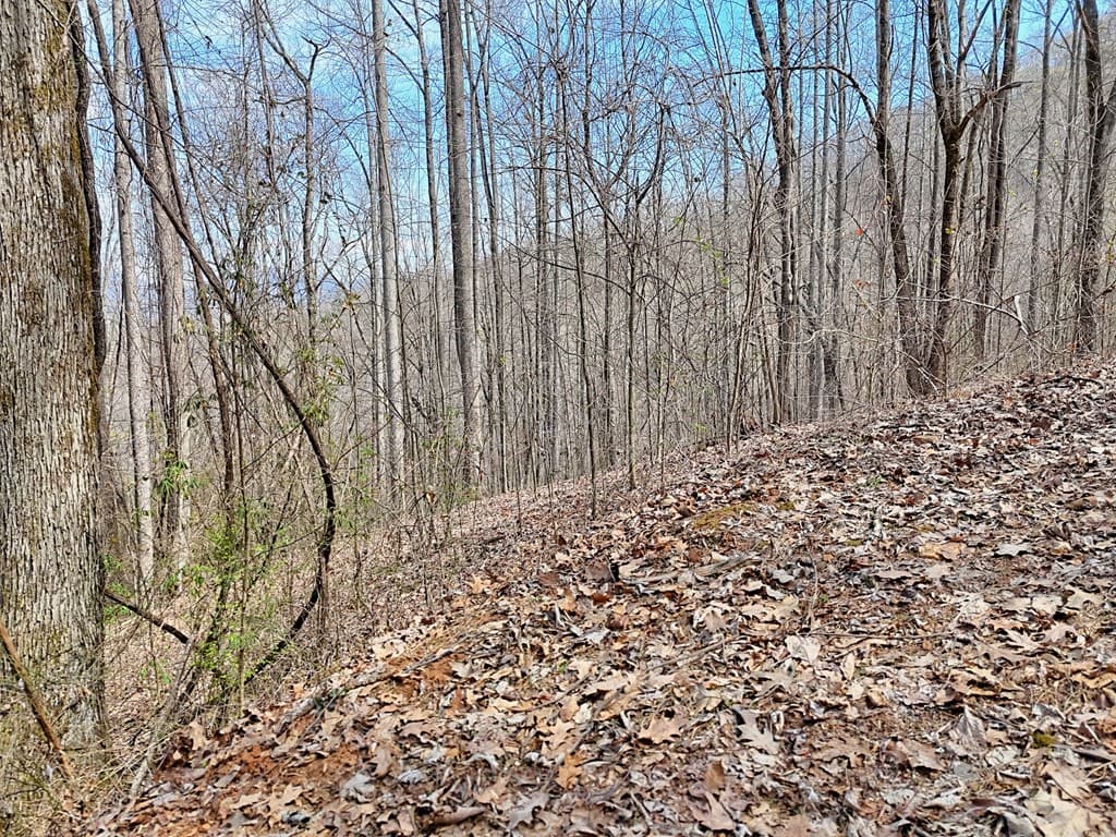 #2 High Meadows Drive, Hayesville NC 28904 - Photo