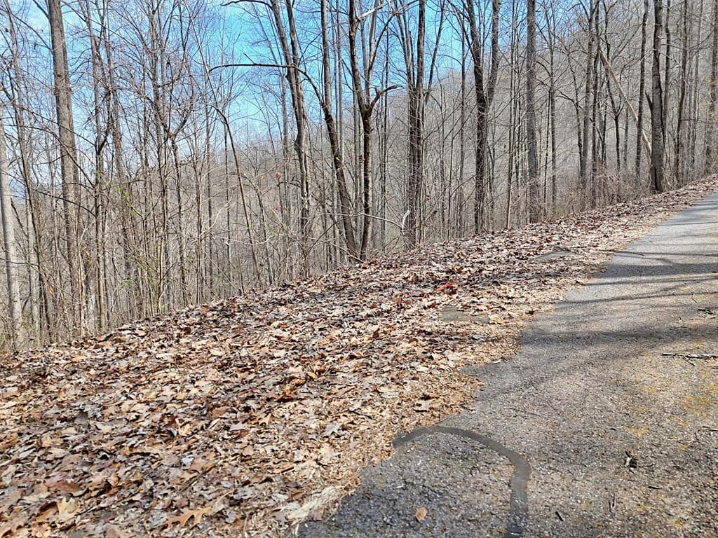 #2 High Meadows Drive, Hayesville NC 28904 - Photo