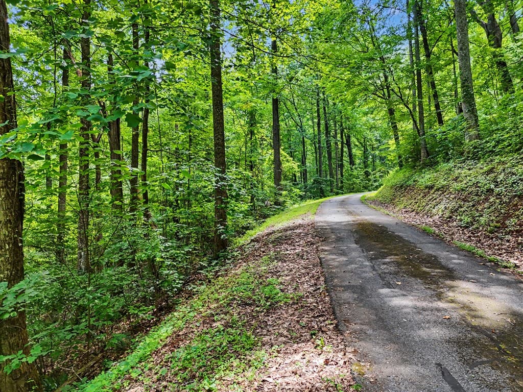 #2 High Meadows Drive, Hayesville NC 28904 - Photo