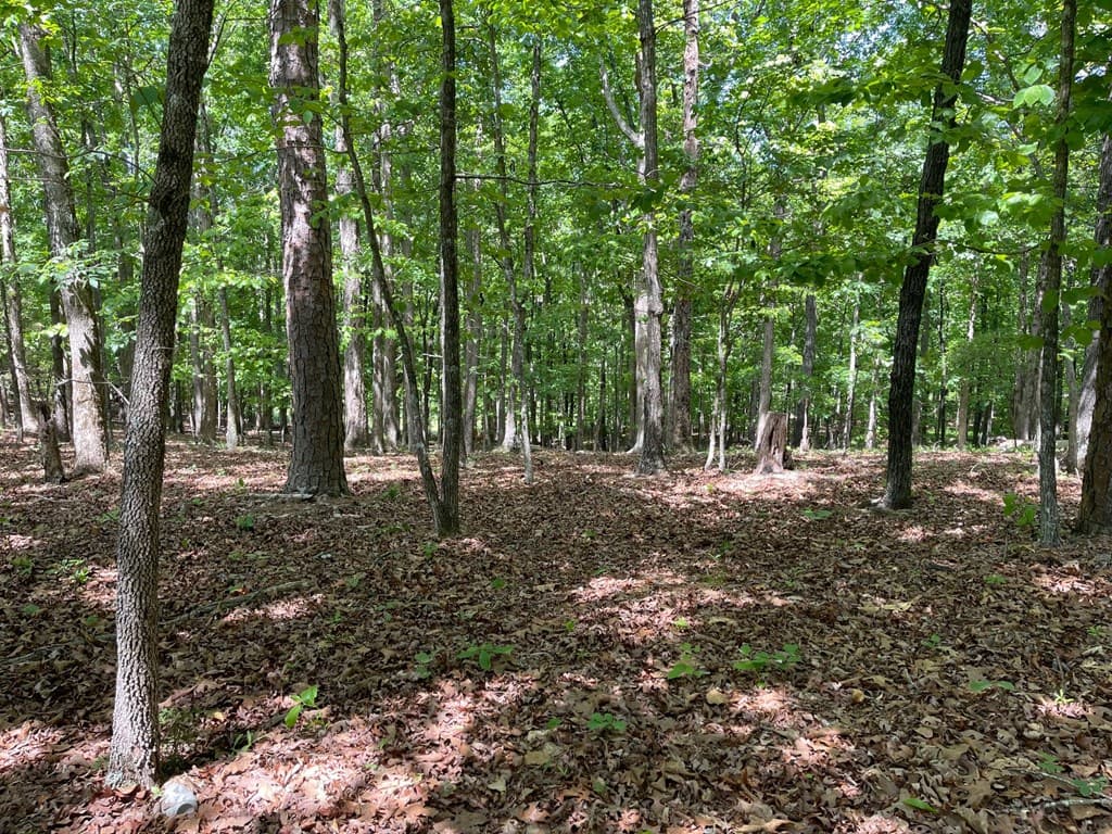 Lots 2&3 Chalcrest Way, Cave Spring GA 30124 - Photo