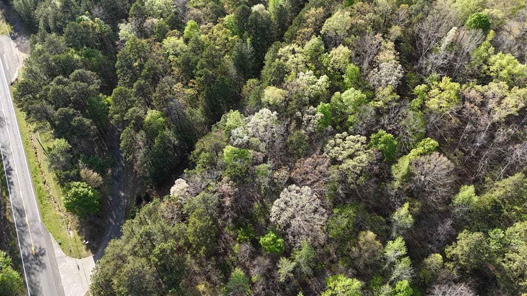 Lots 2&3 Chalcrest Way, Cave Spring GA 30124 - Photo