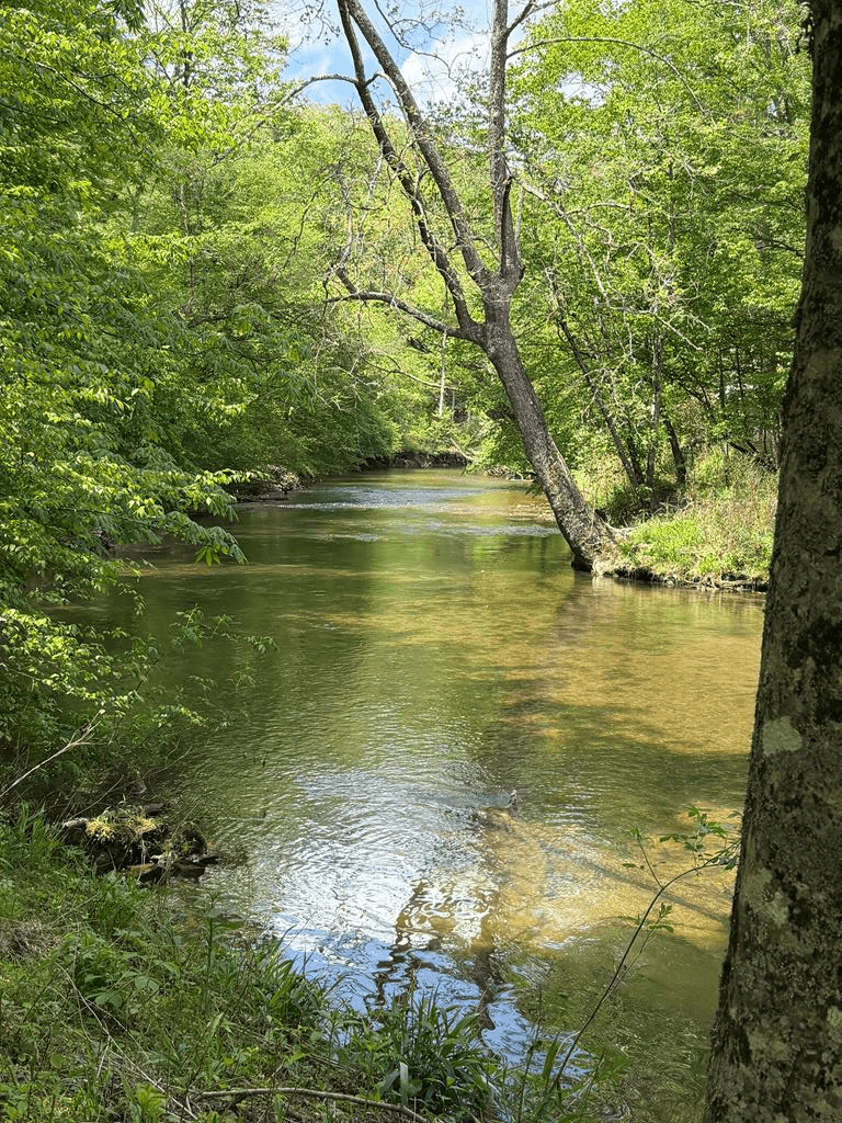 9.8 AC Brown Mountain Road, Suches GA 30572 - Primary photo