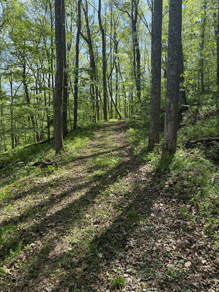 9.8 AC Brown Mountain Road, Suches GA 30572 - Photo