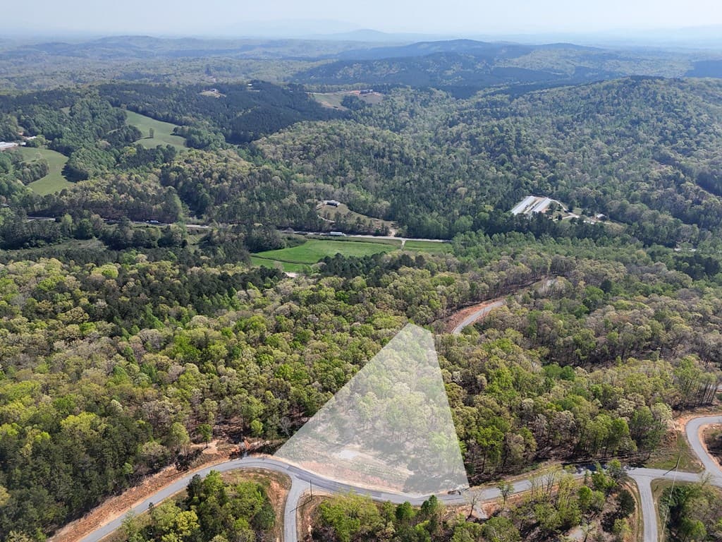 Lot 20 Blalock Mountain Road, Ellijay GA 30540 - Photo