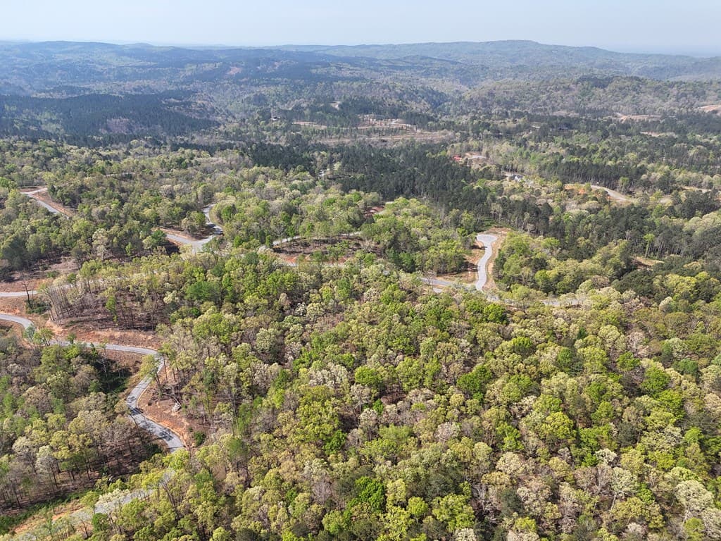 Lot 20 Blalock Mountain Road, Ellijay GA 30540 - Photo