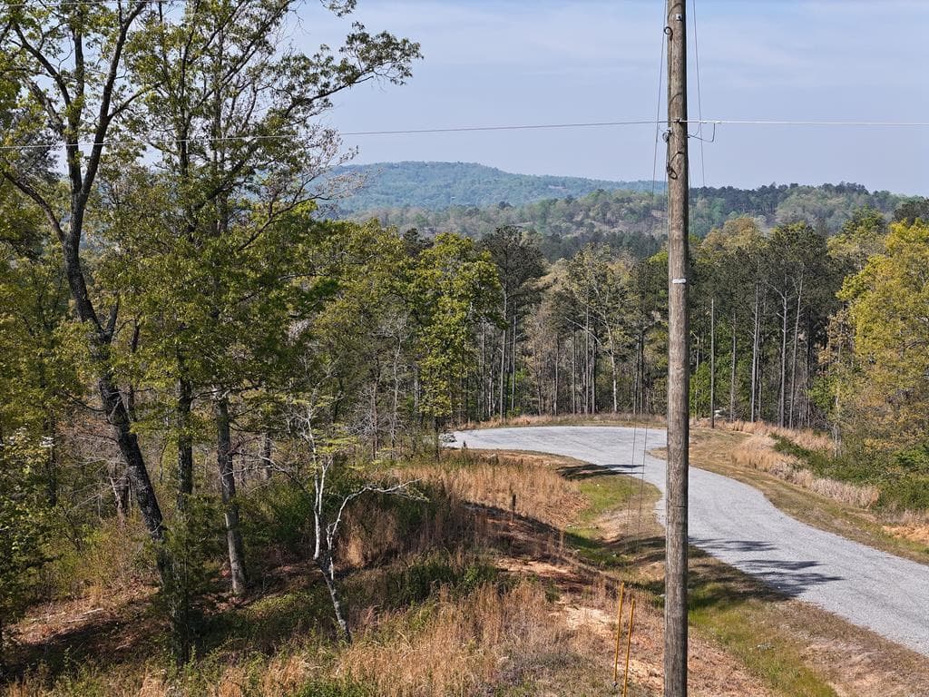 Lot 20 Blalock Mountain Road, Ellijay GA 30540 - Photo