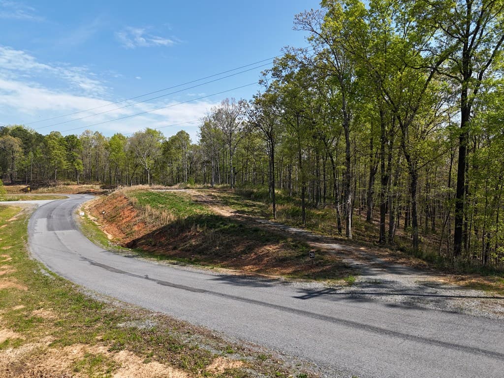 Lot 20 Blalock Mountain Road, Ellijay GA 30540 - Photo