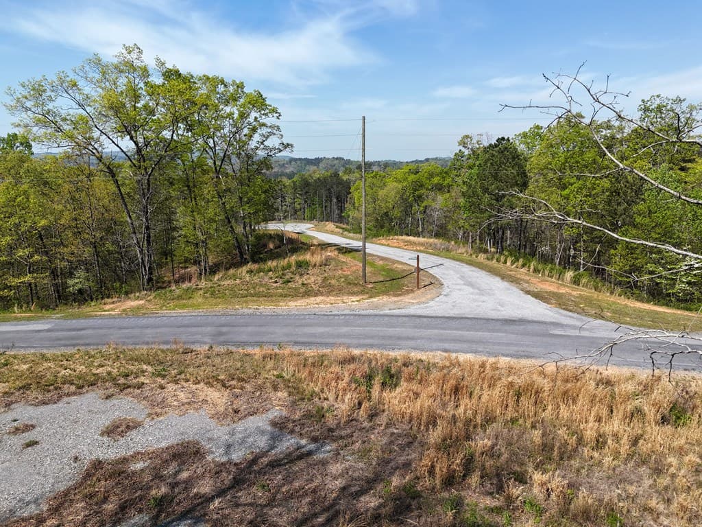 Lot 20 Blalock Mountain Road, Ellijay GA 30540 - Photo