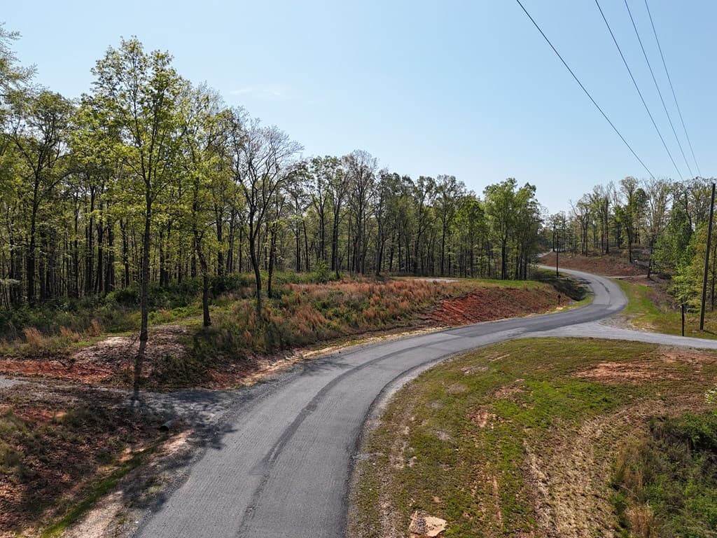 Lot 20 Blalock Mountain Road, Ellijay GA 30540 - Photo