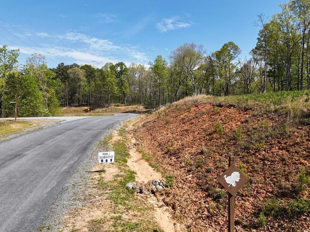 Lot 20 Blalock Mountain Road, Ellijay GA 30540 - Photo