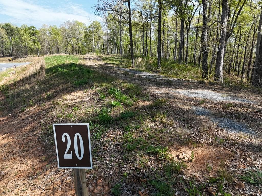 Lot 20 Blalock Mountain Road, Ellijay GA 30540 - Primary photo