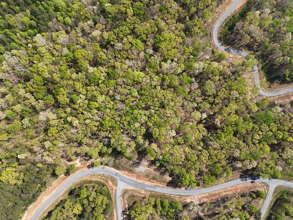 Lot 20 Blalock Mountain Road, Ellijay GA 30540 - Photo