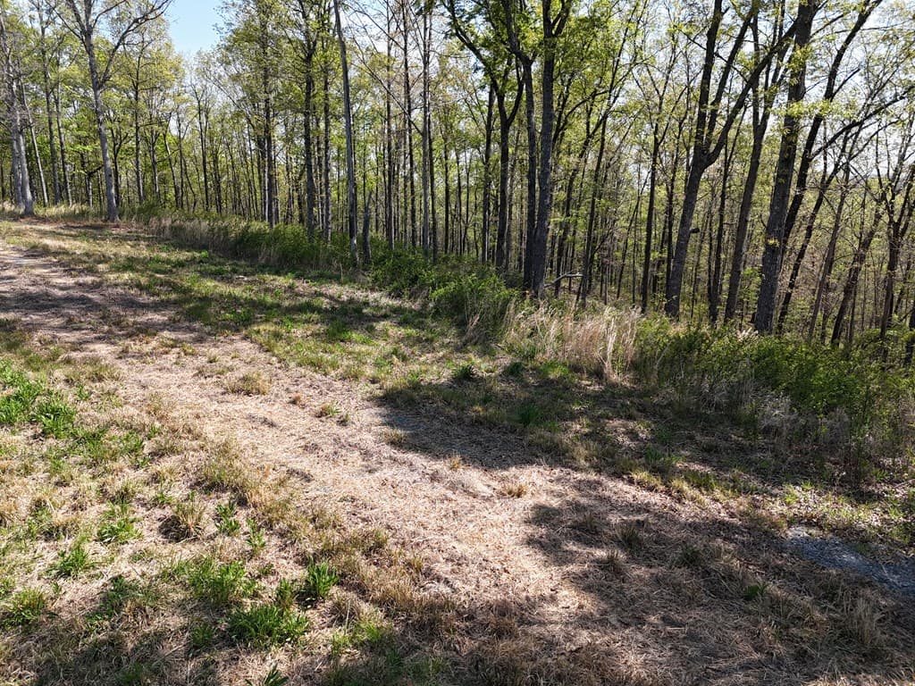 Lot 20 Blalock Mountain Road, Ellijay GA 30540 - Photo