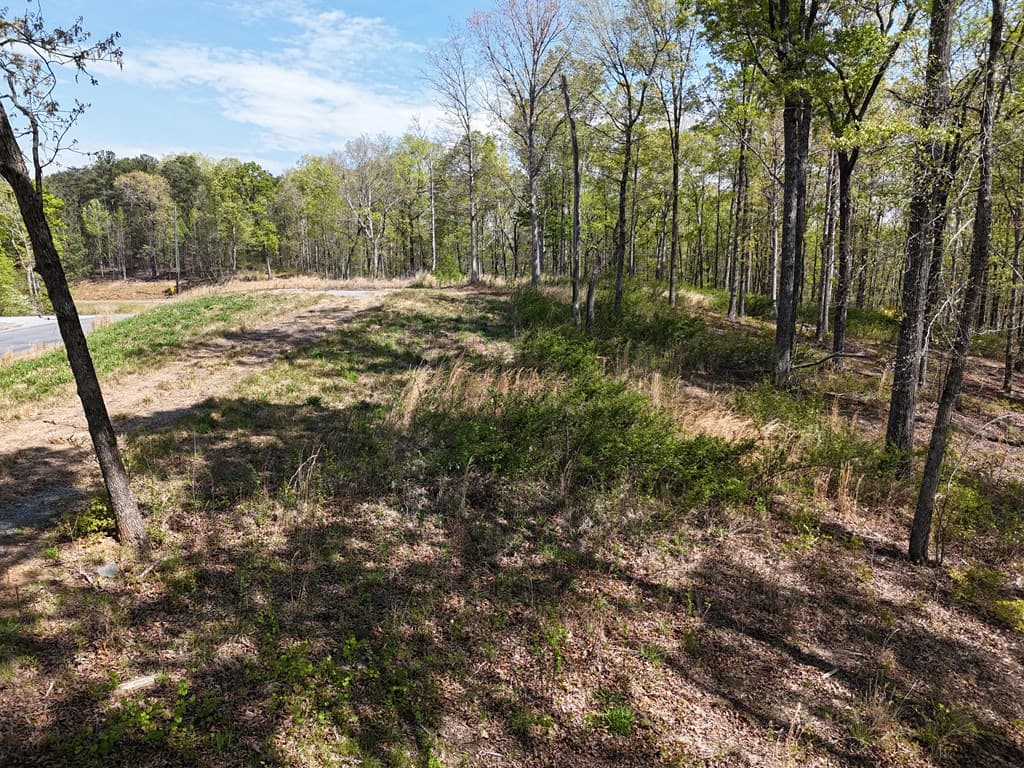 Lot 20 Blalock Mountain Road, Ellijay GA 30540 - Photo