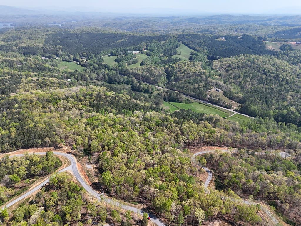 Lot 20 Blalock Mountain Road, Ellijay GA 30540 - Photo