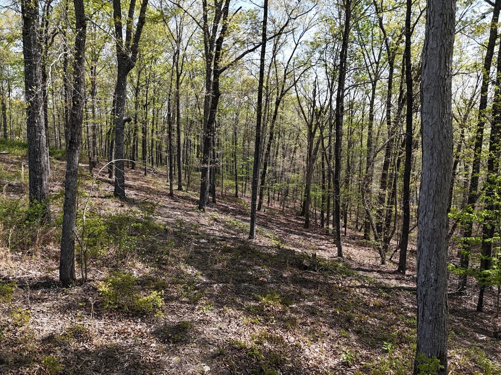 Lot 20 Blalock Mountain Road, Ellijay GA 30540 - Photo