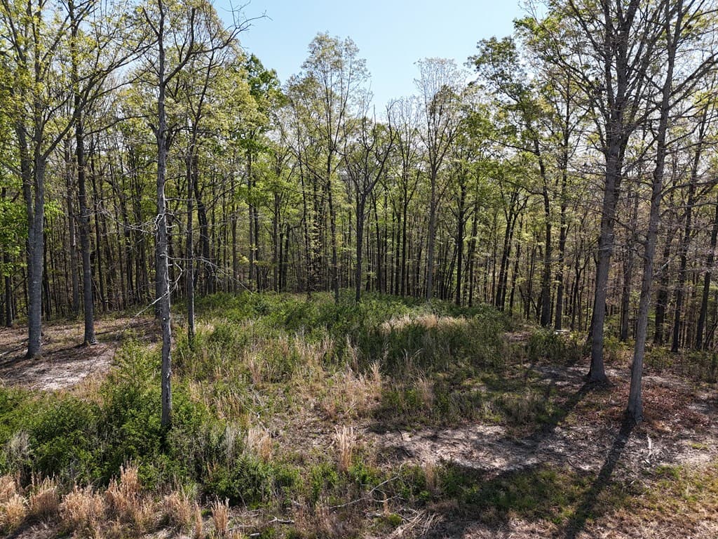 Lot 20 Blalock Mountain Road, Ellijay GA 30540 - Photo