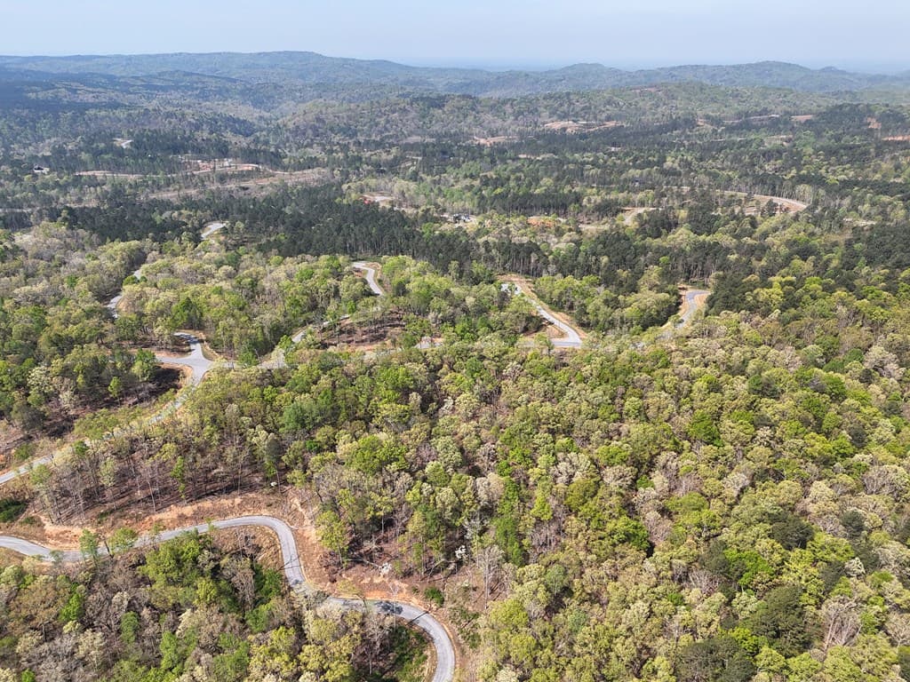 Lot 20 Blalock Mountain Road, Ellijay GA 30540 - Photo