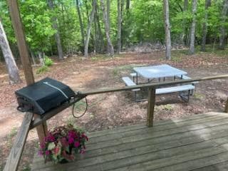 478 Flat Top Road, Blairsville GA 30512 - Photo