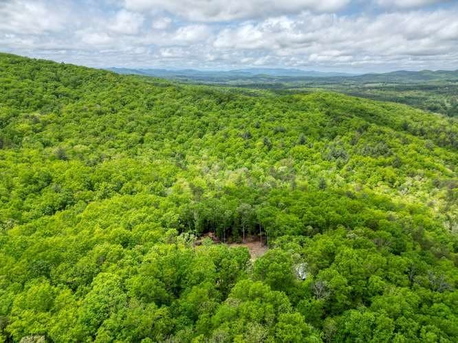 478 Flat Top Road, Blairsville GA 30512 - Photo