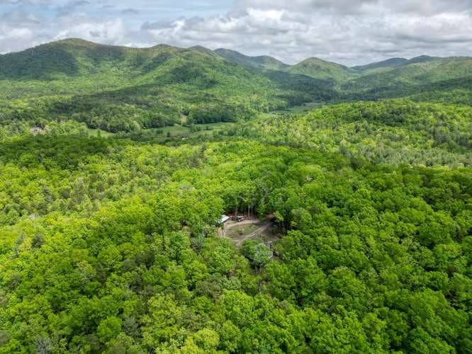 478 Flat Top Road, Blairsville GA 30512 - Photo