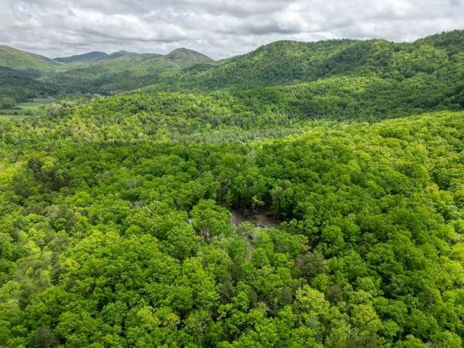 478 Flat Top Road, Blairsville GA 30512 - Photo