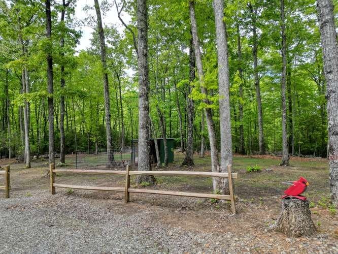 478 Flat Top Road, Blairsville GA 30512 - Photo