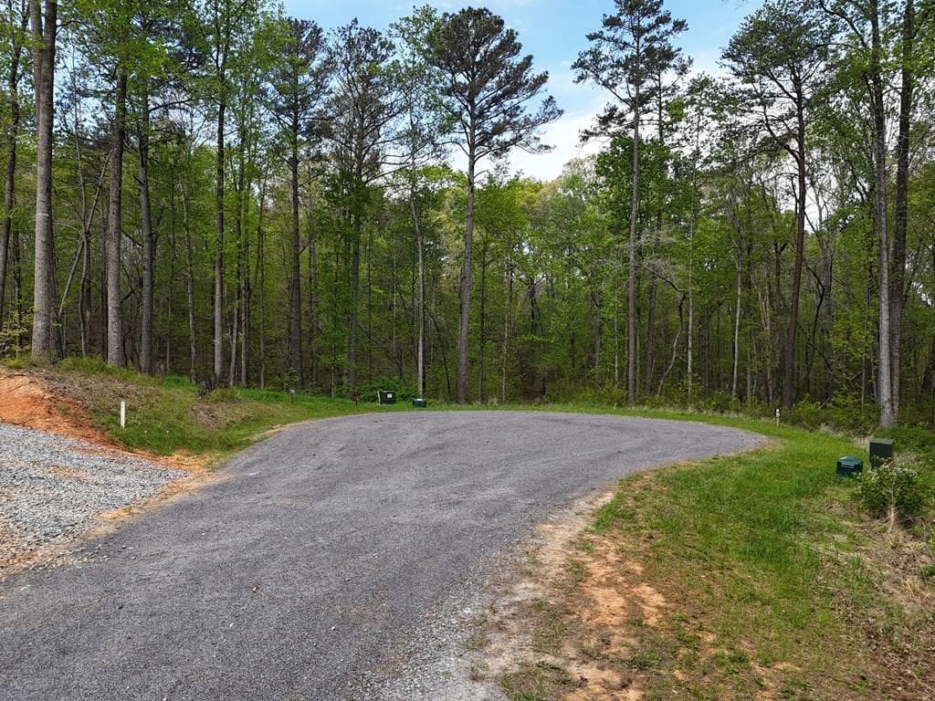 Lot 36R Hilton Drive, Ellijay GA 30540 - Photo