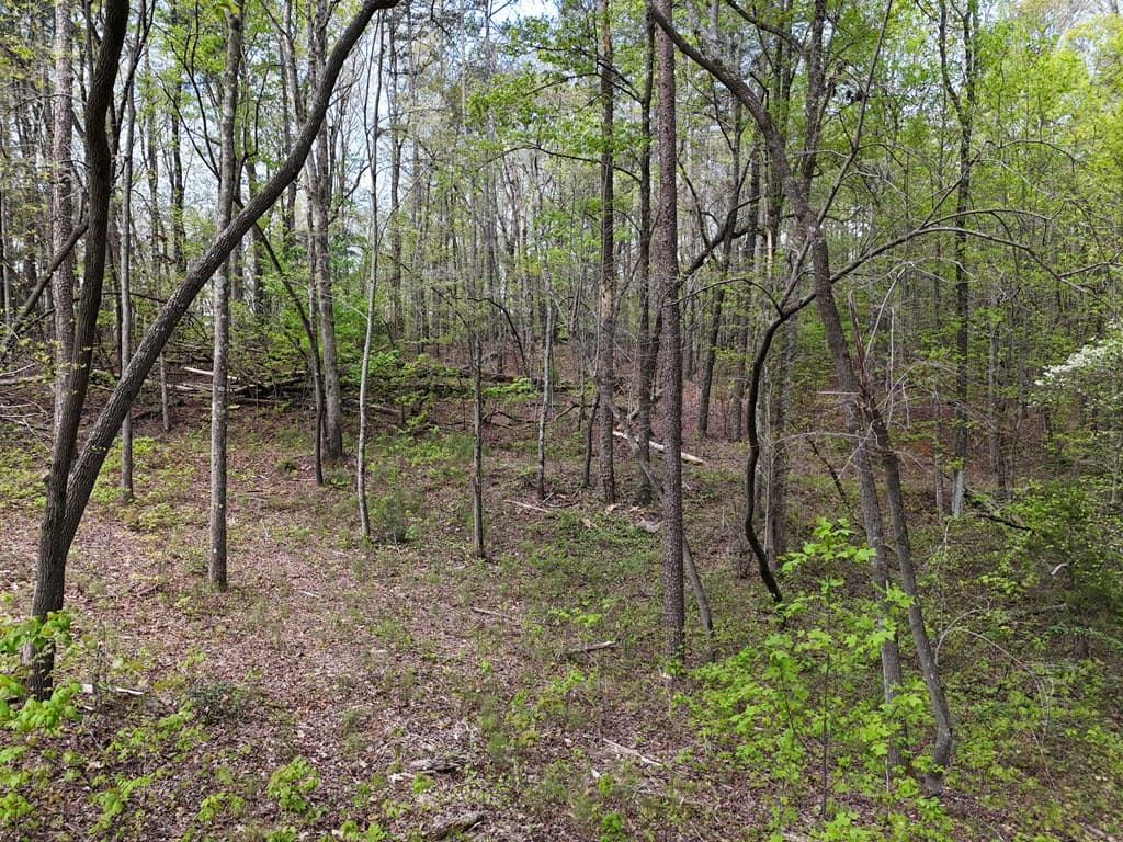 Lot 36R Hilton Drive, Ellijay GA 30540 - Photo
