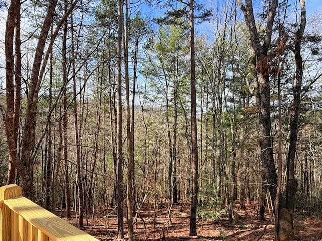 99 Noelle's Pass, Murphy NC 28906 - Photo