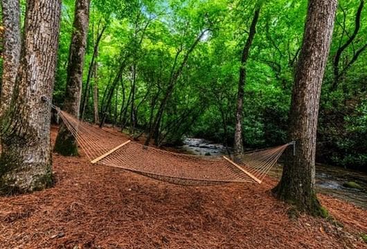 390 Twin Creeks Road, Blue Ridge GA 30513 - Photo