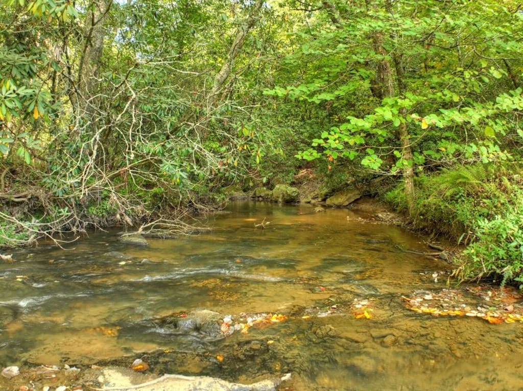 390 Twin Creeks Road, Blue Ridge GA 30513 - Photo